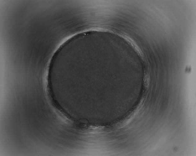 X0000102460484200808221622