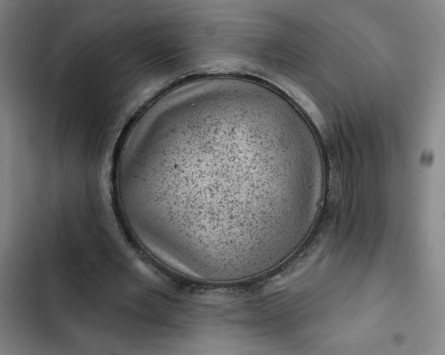 X0000102460485200808221622