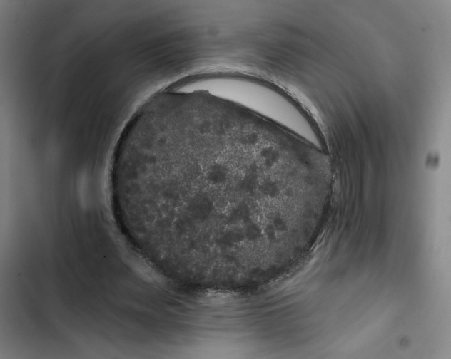 X0000102460487200808221622