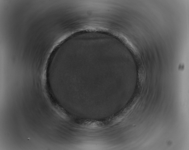 X0000102460488200808221622