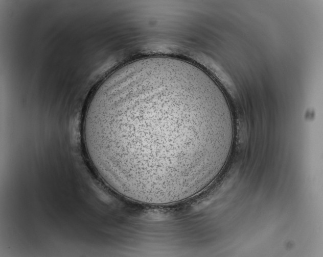 X0000102460489200808221622