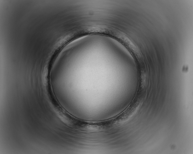 X0000102460490200808221622