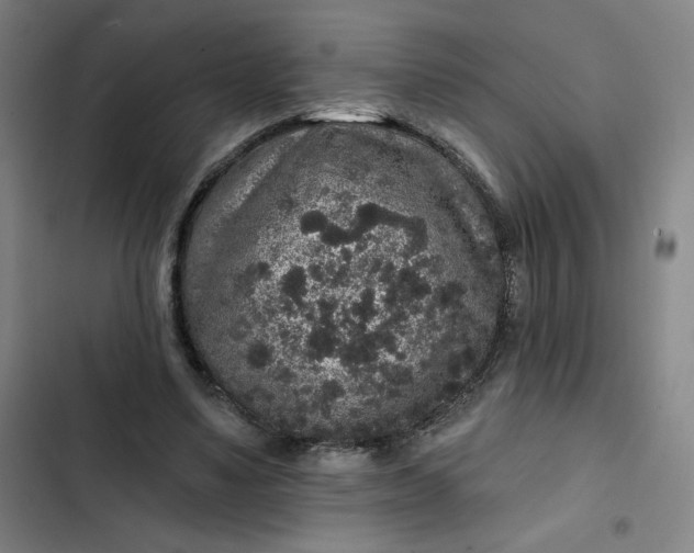 X0000102460491200808221622