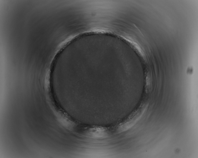 X0000102460492200808221622