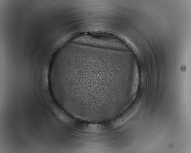 X0000102460493200808221622