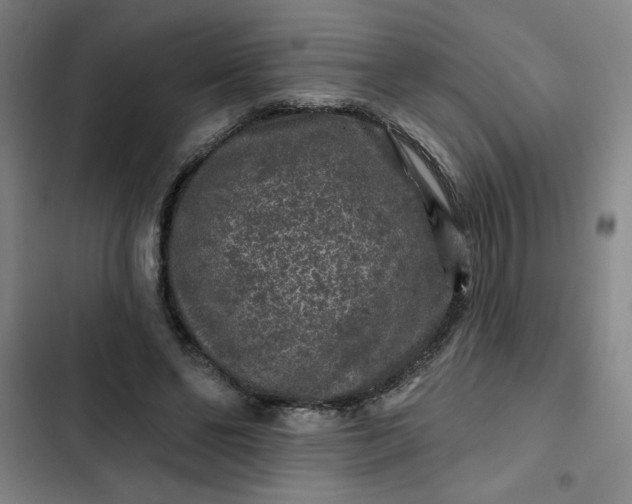 X0000102460494200808221622