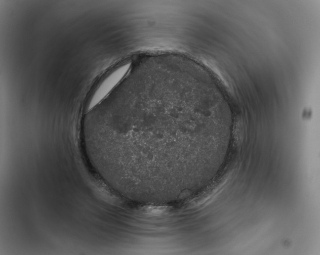 X0000102460495200808221622