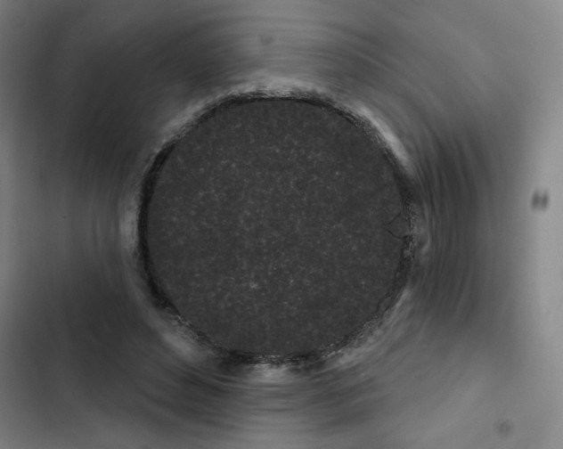 X0000102460496200808221622