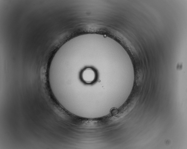 X0000102460497200808221622