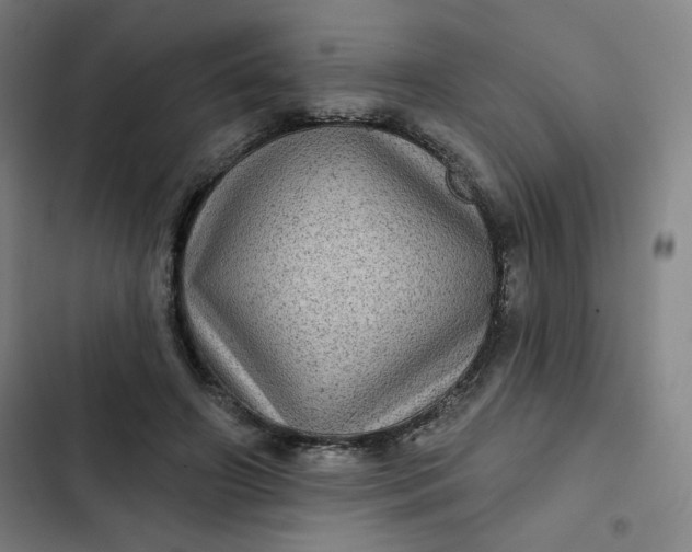 X0000102460498200808221622