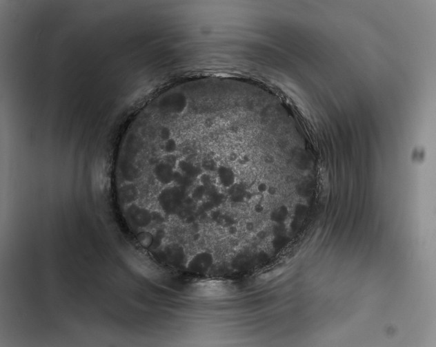 X0000102460499200808221622