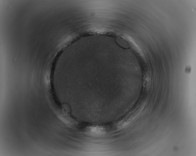 X0000102460500200808221622