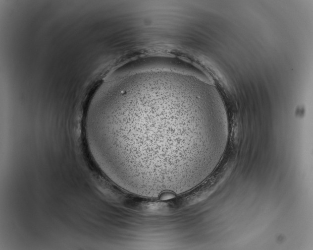 X0000102460501200808221622