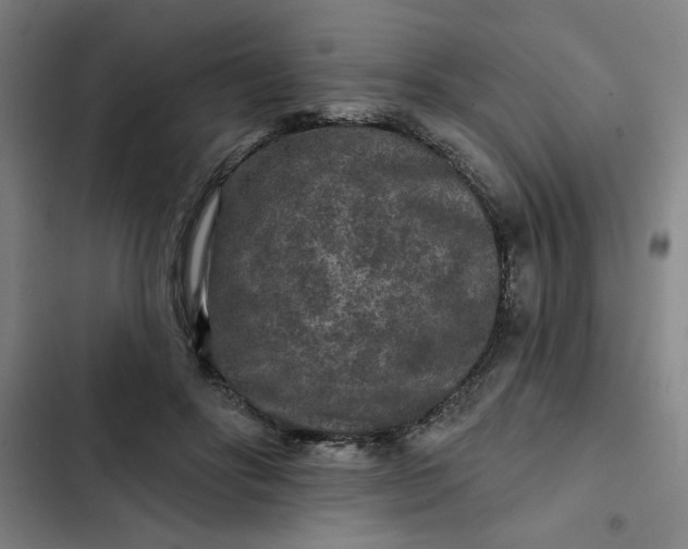 X0000102460502200808221622