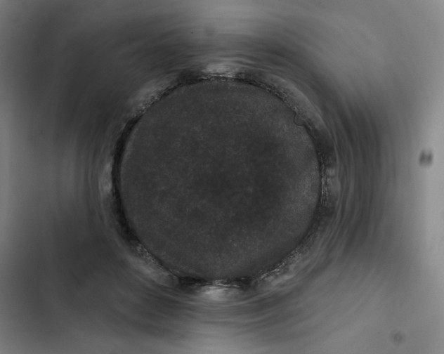 X0000102460504200808221622