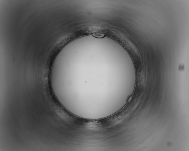 X0000102460505200808221622