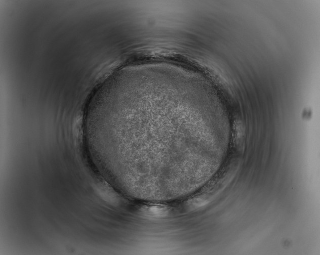 X0000102460506200808221622