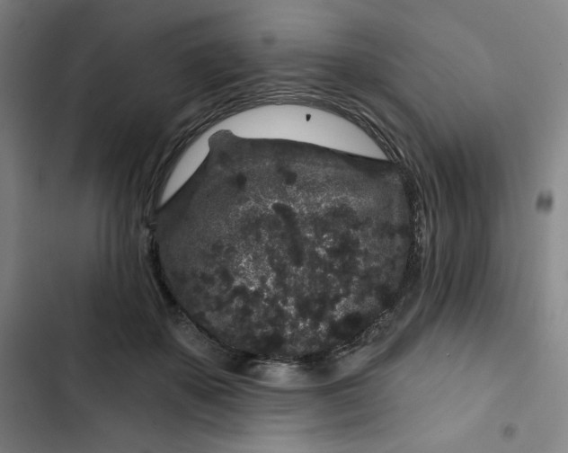 X0000102460507200808221622