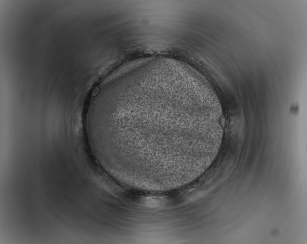 X0000102460508200808221622