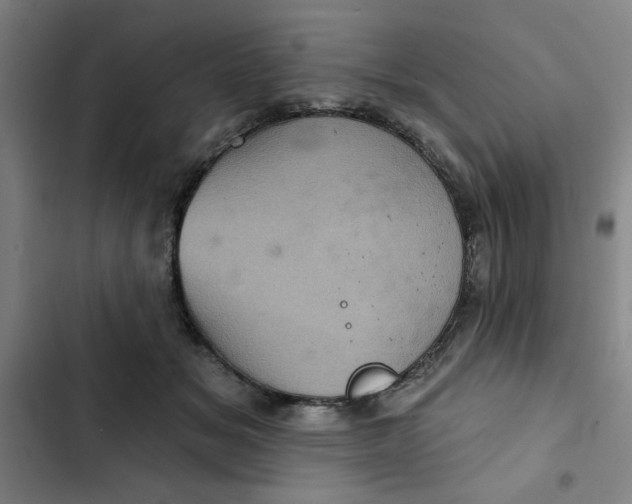 X0000102460509200808221622