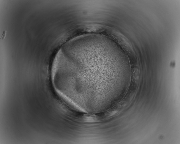 X0000102460510200808221622