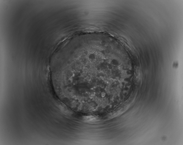 X0000102460511200808221622