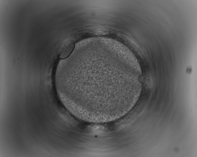 X0000102460512200808221622