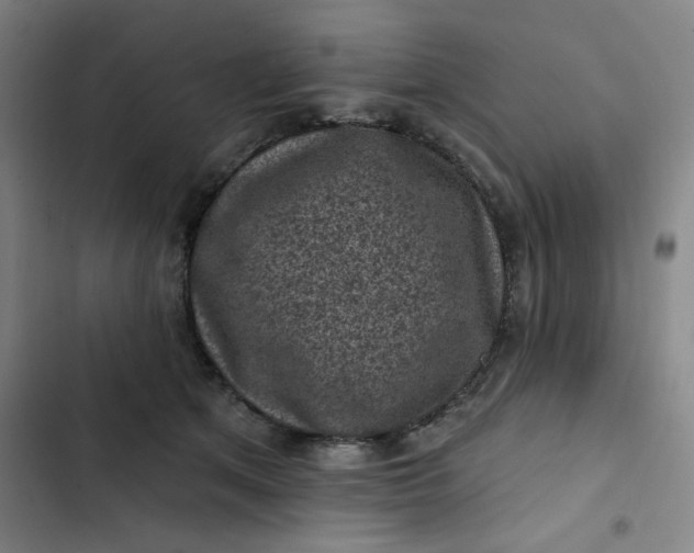 X0000102460513200808221622