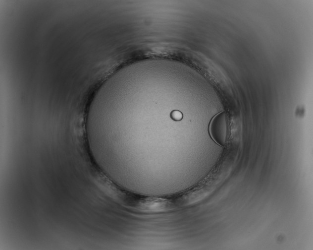 X0000102460514200808221622