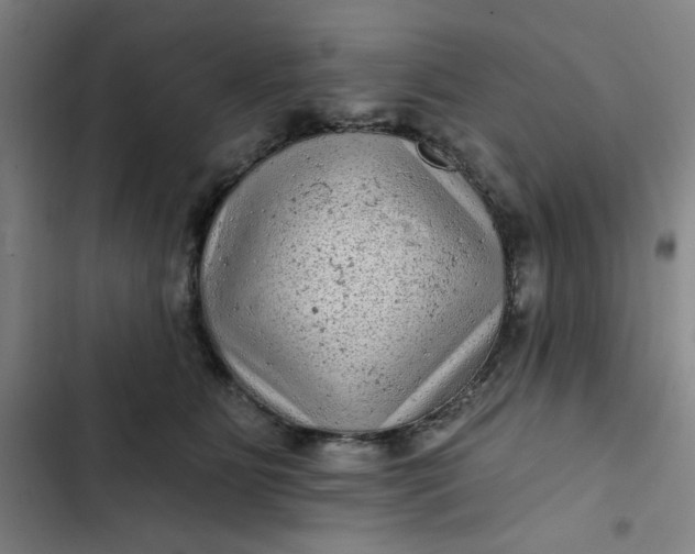 X0000102460515200808221622