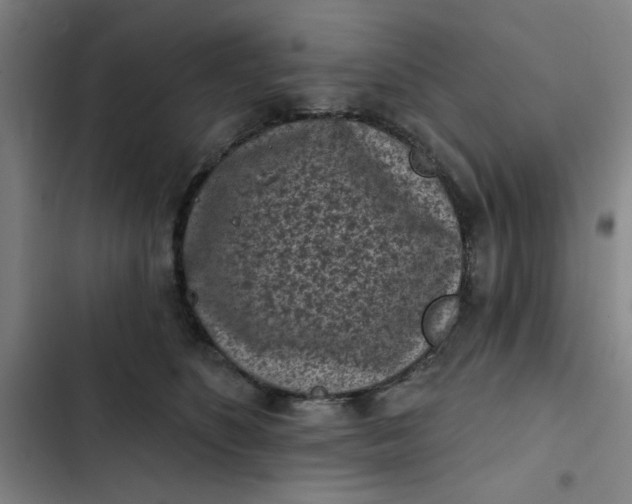 X0000102460516200808221622