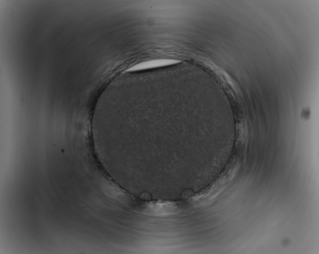 X0000102460517200808221622