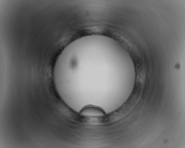 X0000102460518200808221622