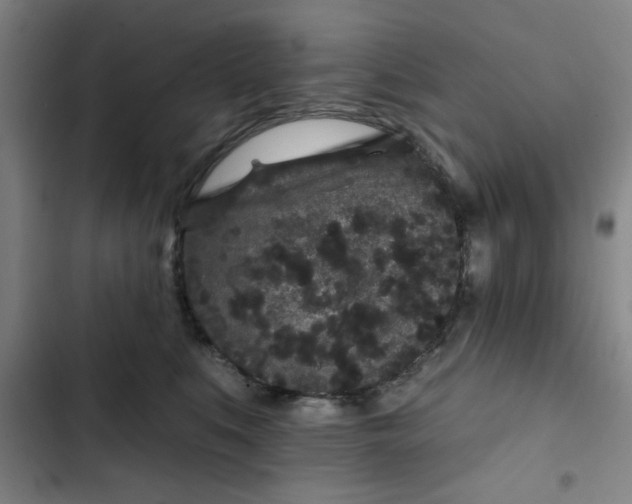 X0000102460519200808221622