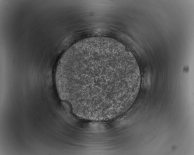 X0000102460520200808221622