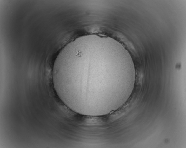 X0000102460521200808221622