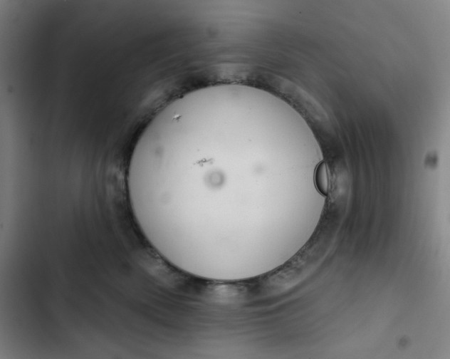 X0000102460522200808221622