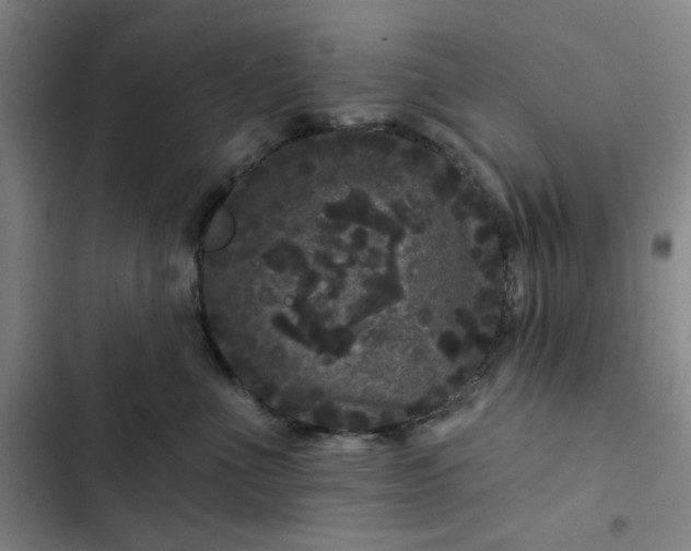 X0000102460523200808221622