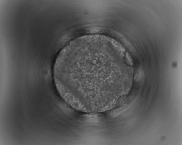 X0000102460524200808221622