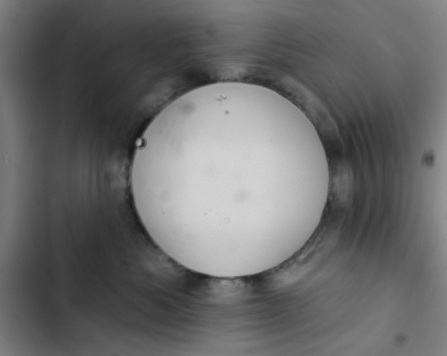 X0000102460525200808221622