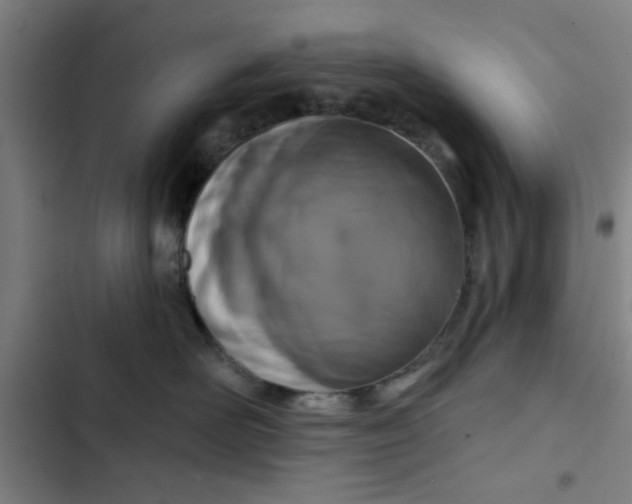 X0000102460526200808221622