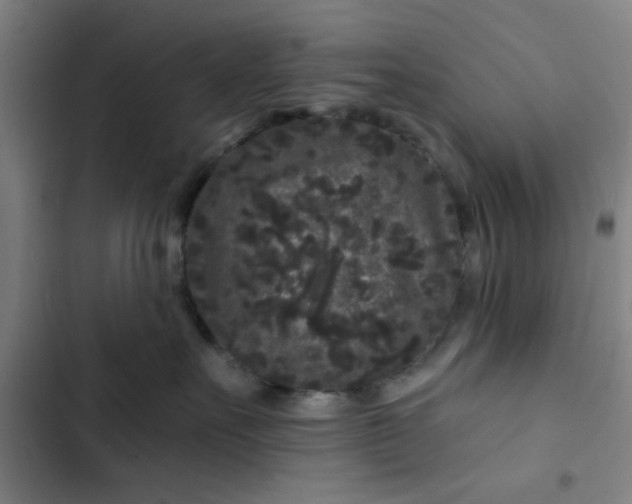 X0000102460527200808221622