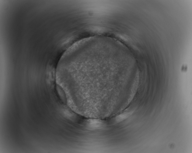 X0000102460528200808221622