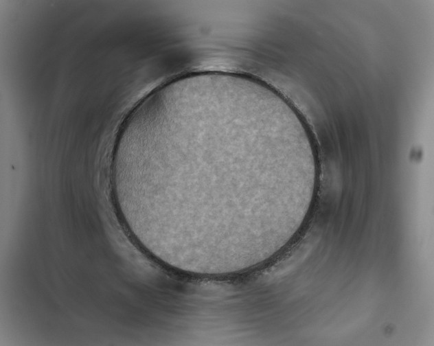 X0000102460529200808221621