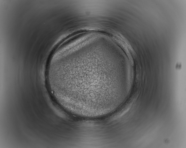 X0000102460530200808221621