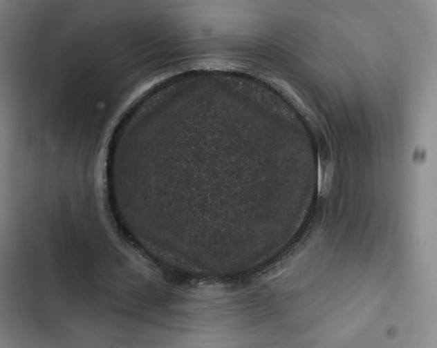 X0000102460531200808221621