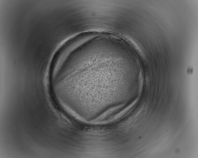 X0000102460532200808221621