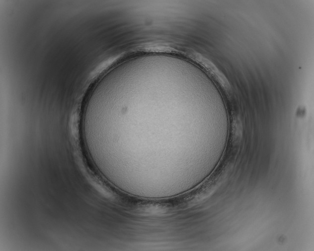 X0000102460533200808221621