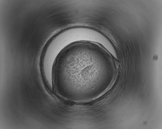 X0000102460534200808221621