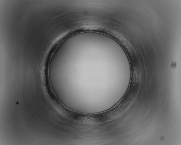 X0000102460535200808221621